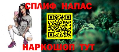 спиды Гагарин