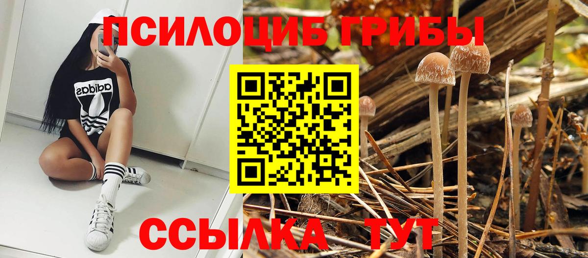 Набережные Челны  Галлюциногенные грибы мицелий  Вход с VPN 