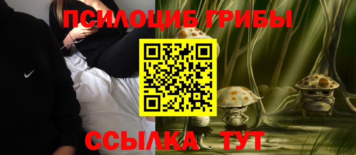 Галлюциногенные грибы Cubensis Набережные Челны